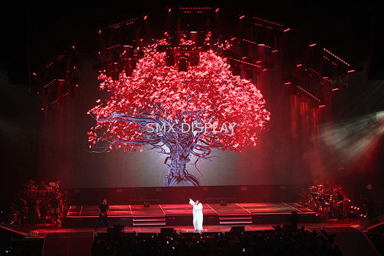 Qualité Exposition matérielle de l'hologramme 3D de projection de polyamide olographe transparent d'écran Usine