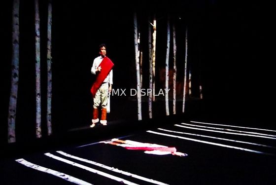 Qualité La vidéo faite sur commande de HD a basé le système de projection 3d olographe pour la présentation d'hologramme Usine