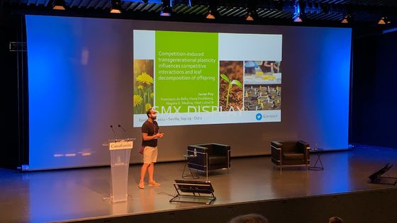 Qualité grand écran de projection 350inch motorisé avec le rf à télécommande Usine